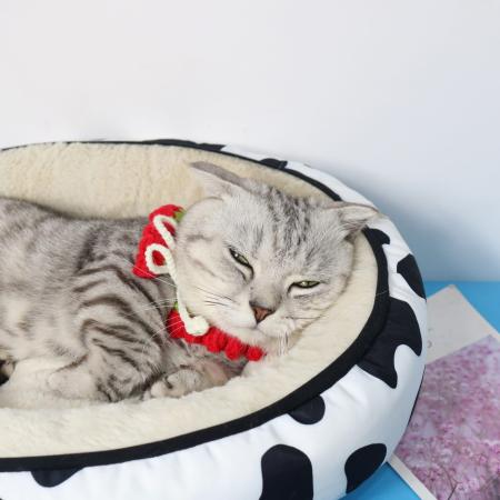 NỆM TRÒN BÒ SỮA (KÈM GỐI) (DƯỚI 6KG)1ED38E28-BBCB-489C-A1A3-882744DFEF81