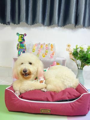 NỆM VUÔNG ĐỎ VIỀN GÓC (KÈM GỐI) (CÓ 2 SIZE)