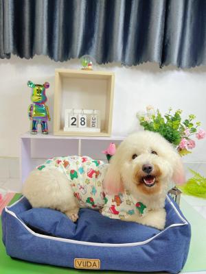 NỆM VUÔNG XANH VIỀN GÓC (KÈM GỐI) (CÓ 2 SIZE)