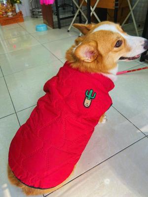 ÁO KHOÁC/ ÁO PHAO GILE ĐỎIMG_2528