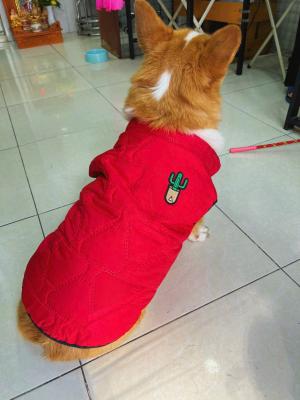 ÁO KHOÁC/ ÁO PHAO GILE ĐỎIMG_2529