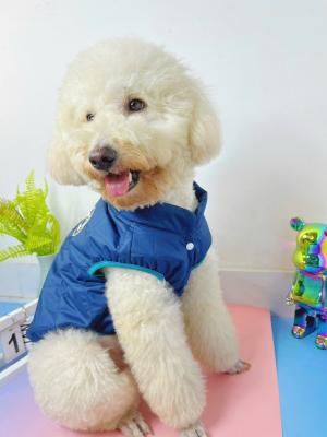 ÁO KHOÁC/ ÁO PHAO GILE XANHIMG_2532