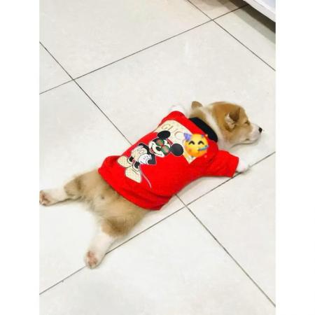 ÁO THUN CHUỘT MICKEYIMG_2617