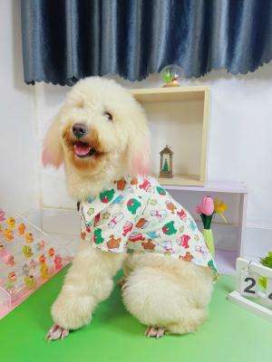 ÁO SƠ MI HOẠ TIẾT MÙA ĐÔNG DỄ THƯƠNGIMG_2639