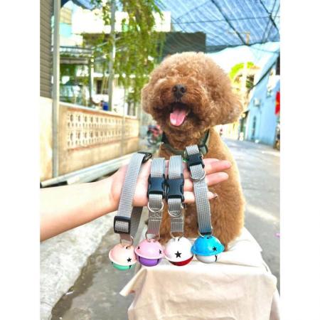 VÒNG CỔ CHUÔNG TO GIÁ RẺIMG_2744