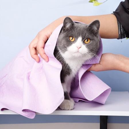 KHĂN TẮM SIÊU THẤM HÚT CHO THÚ CƯNG (NHIỀU MÀU)vn-11134207-7r98o-lzd1xm99tfm525