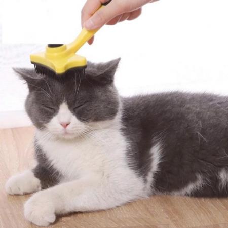 LƯỢC NHỰA BẤM CHẢI LÔNG CHO THÚ CƯNGvn-11134207-7r98o-m02p993z8sy778