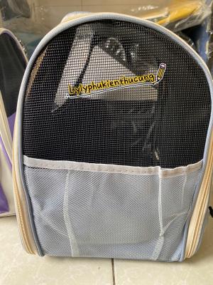 BALO “HELLO CAT”  MÀU XANH DƯƠNG PASTEL (DƯỚI 6kg)z6418554613511_191d0139c730f13f8f54f304246cc89b