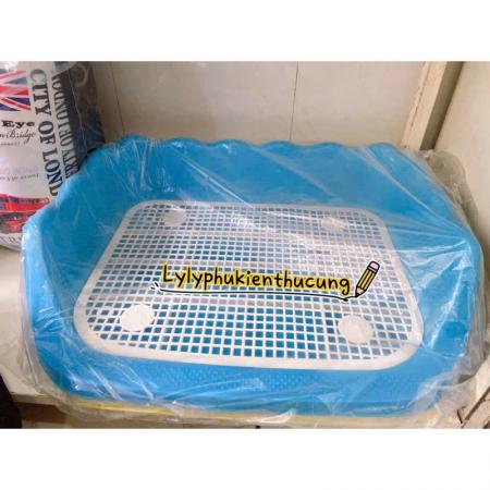 KHAY VỆ SINH CHO THÚ CƯNG (42*52CM)z6439945691311_cbf00b8fc5c63b59382dd39639684b40