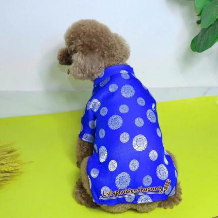 ÁO DÀI TẾT HOẠ TIẾT ĐỒNG TIỀN - XANH