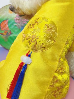 ÁO DÀI TẾT NGỌC BỘI - VÀNGz6440171535763_f1550b913fc56502e3d77bfb79aeef1b