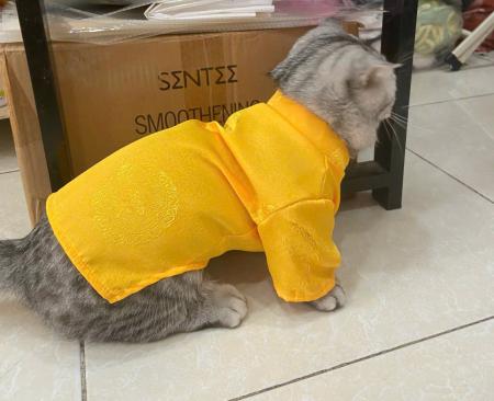 ÁO DÀI TẾT QUẢNG CHÂU - VÀNGz6440413671283_7458eddef7b1e3ff1ae71a8b94be6885