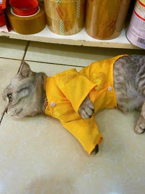 ÁO DÀI TẾT QUẢNG CHÂU - VÀNGz6440414244471_63e194265bb49e12867a6fb3a6915ec3